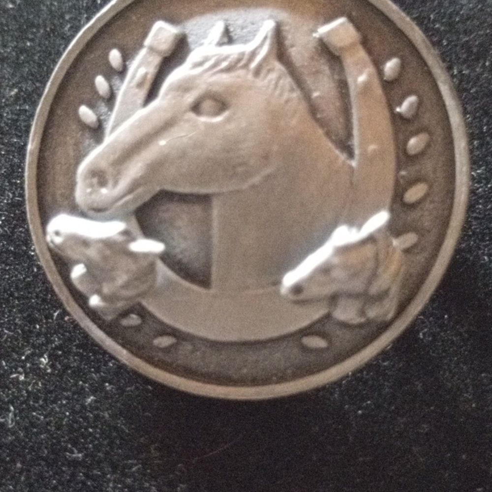 Bronze Colored Horse and Horseshoe Pin With Earrings - Picture 4 of 4